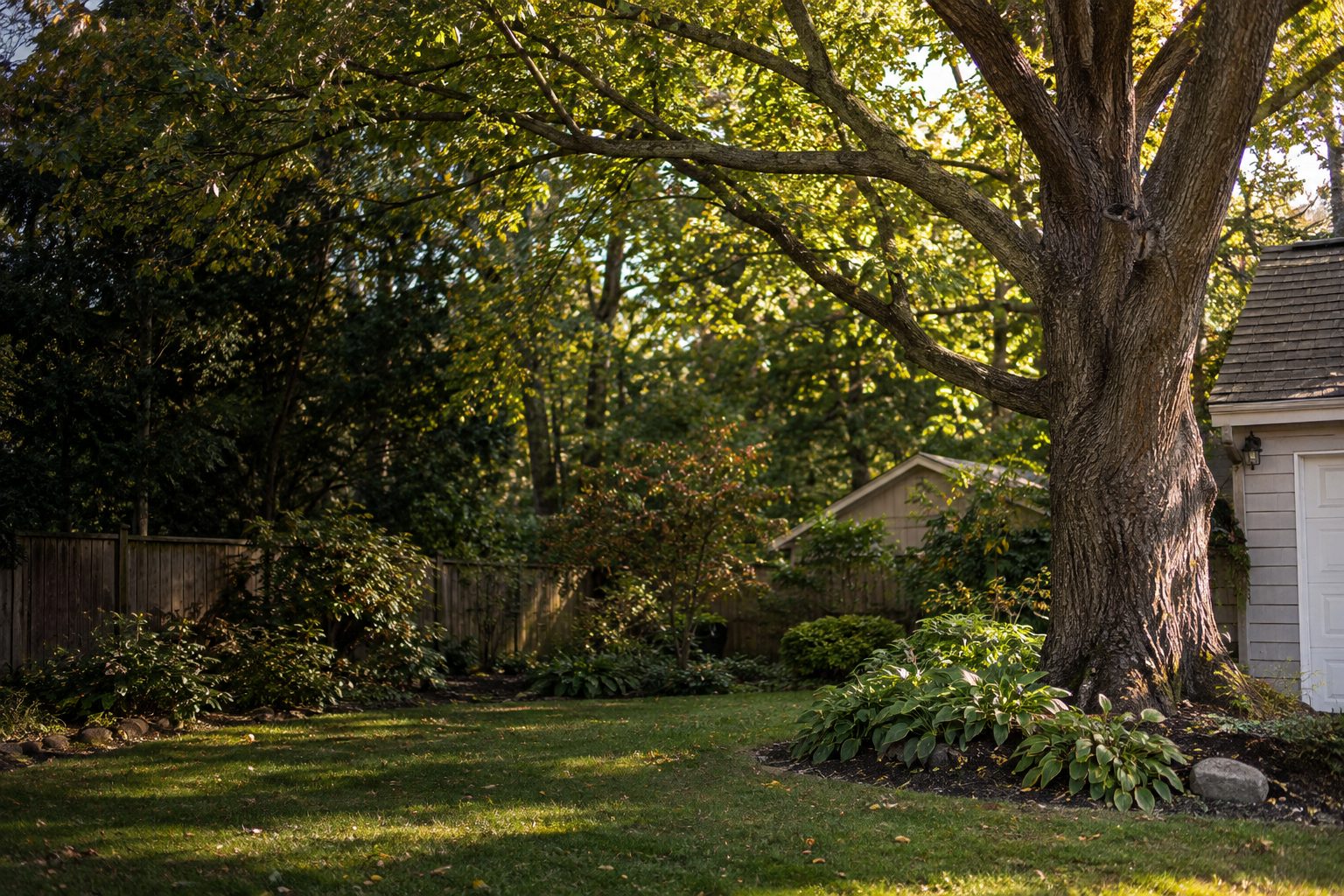 AI-generated editorial view of mature trees and a residential woodland edge for the Brentwood planning guide