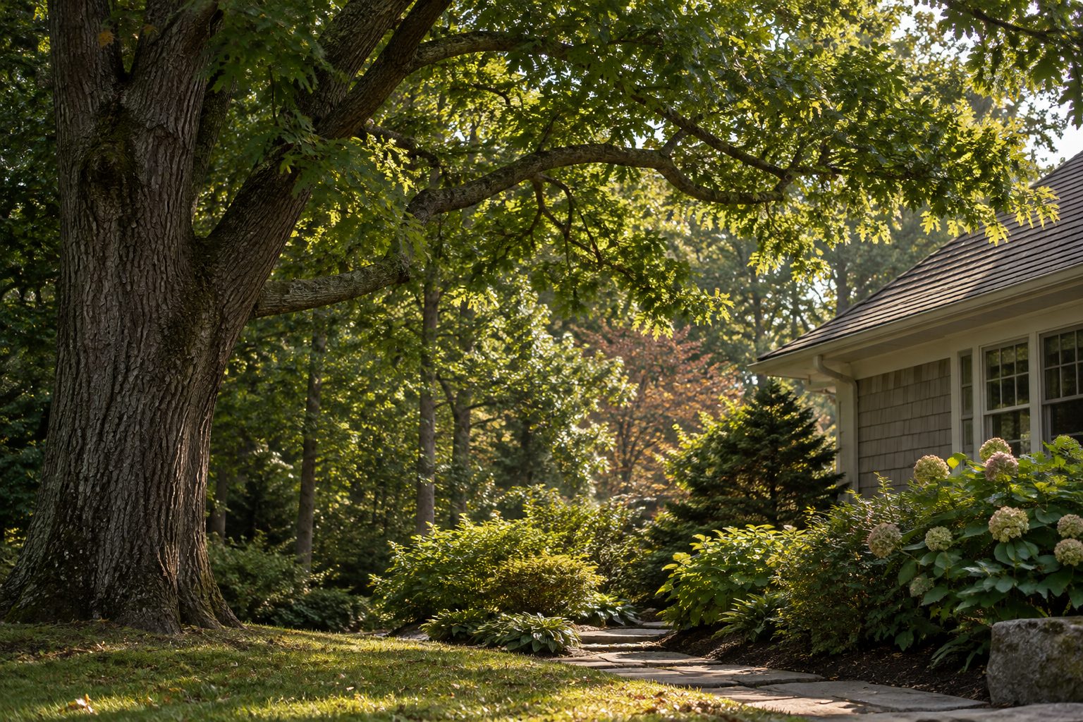 AI-generated editorial view of branching canopy above a landscaped yard for the East Setauket planning guide