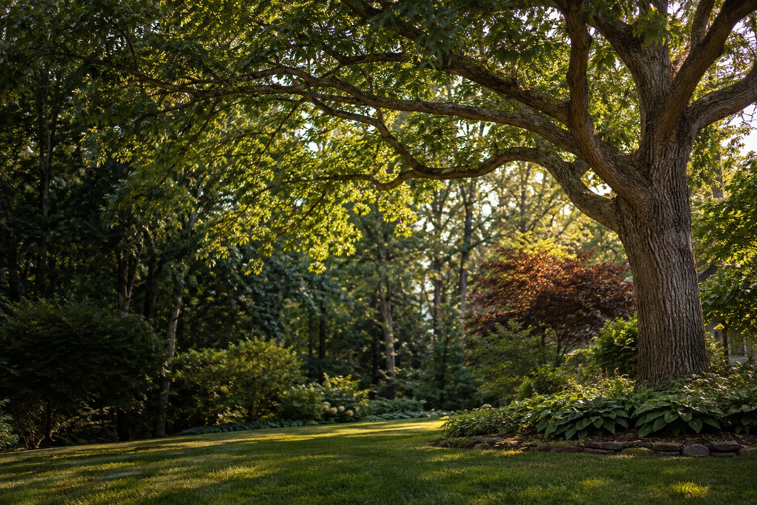 AI-generated editorial view of mature tree cover and varied yard space for the Islip planning guide