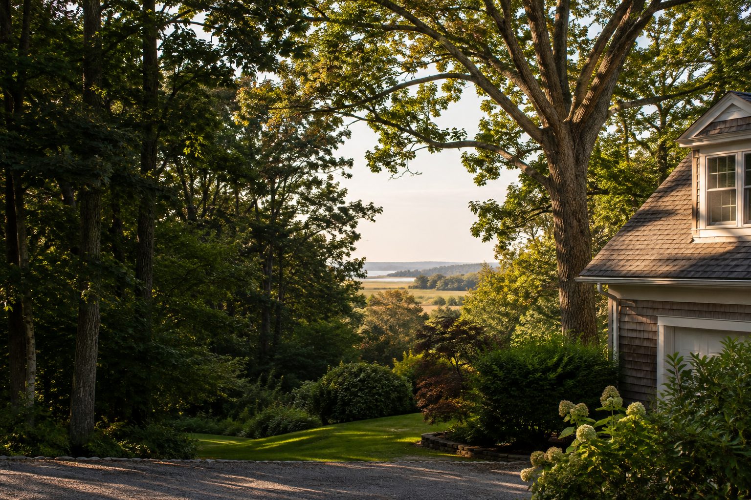 AI-generated editorial view of branching canopy above a landscaped yard for the Jamesport planning guide