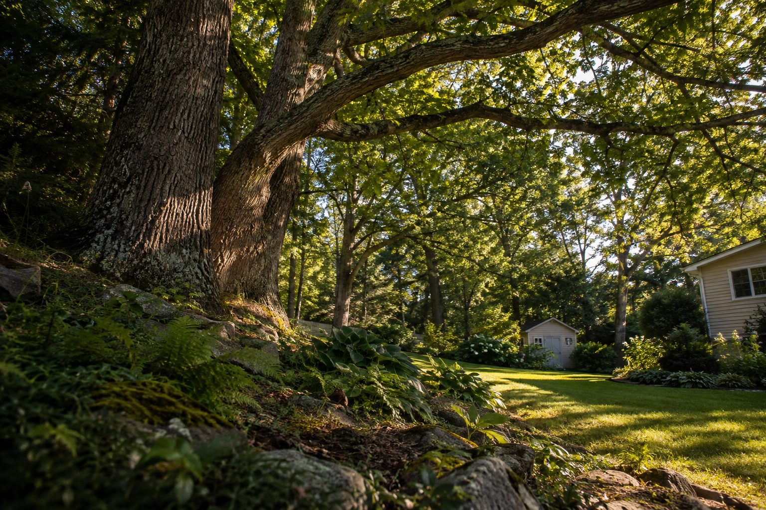 AI-generated editorial view of mature tree cover and varied yard space for the Centereach planning guide
