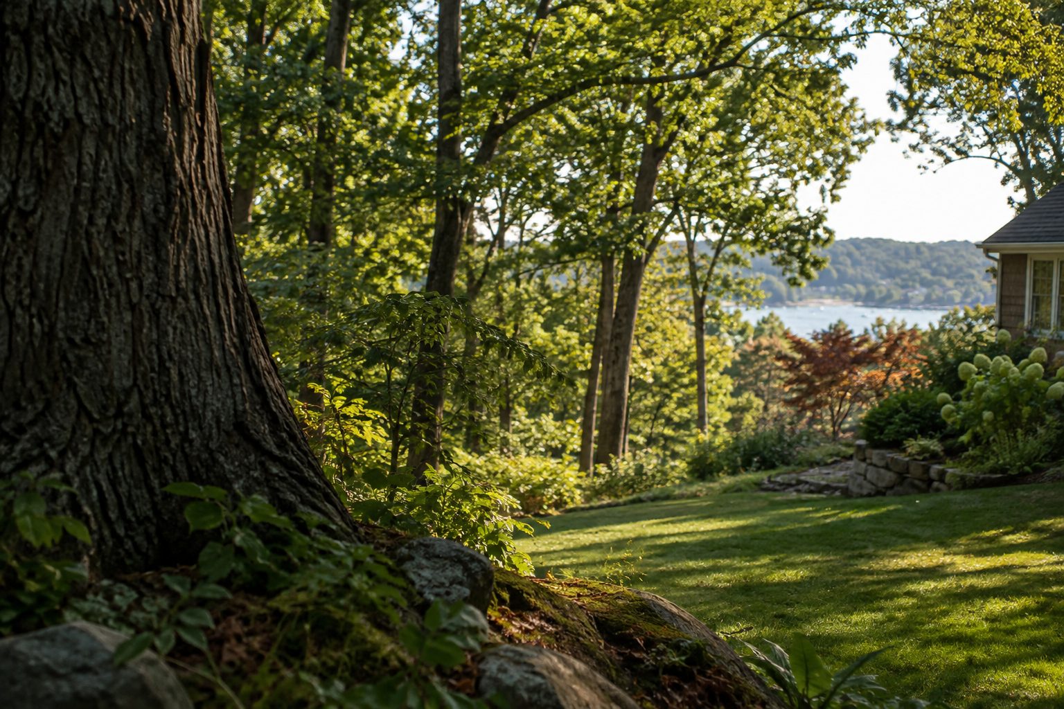 AI-generated editorial view of mature tree cover and varied yard space for the Northport planning guide