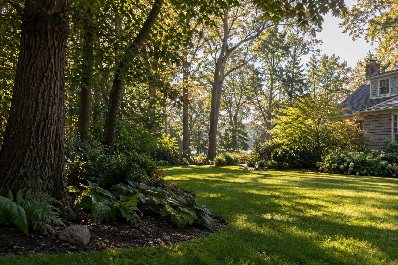 AI-generated editorial view of mature tree cover and varied yard space for the Bellport planning guide