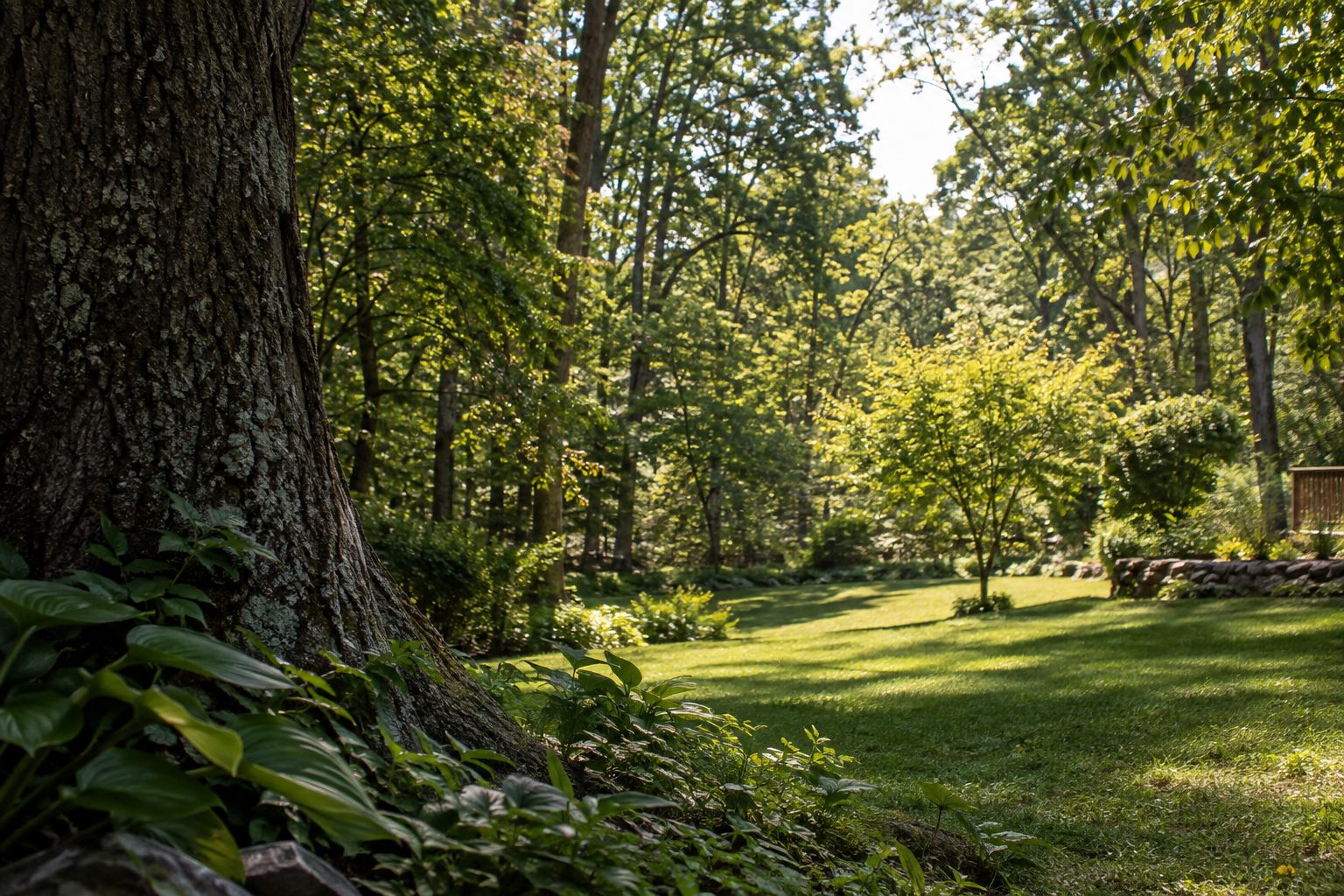 AI-generated editorial view of mature tree cover and varied yard space for the Mount Sinai planning guide
