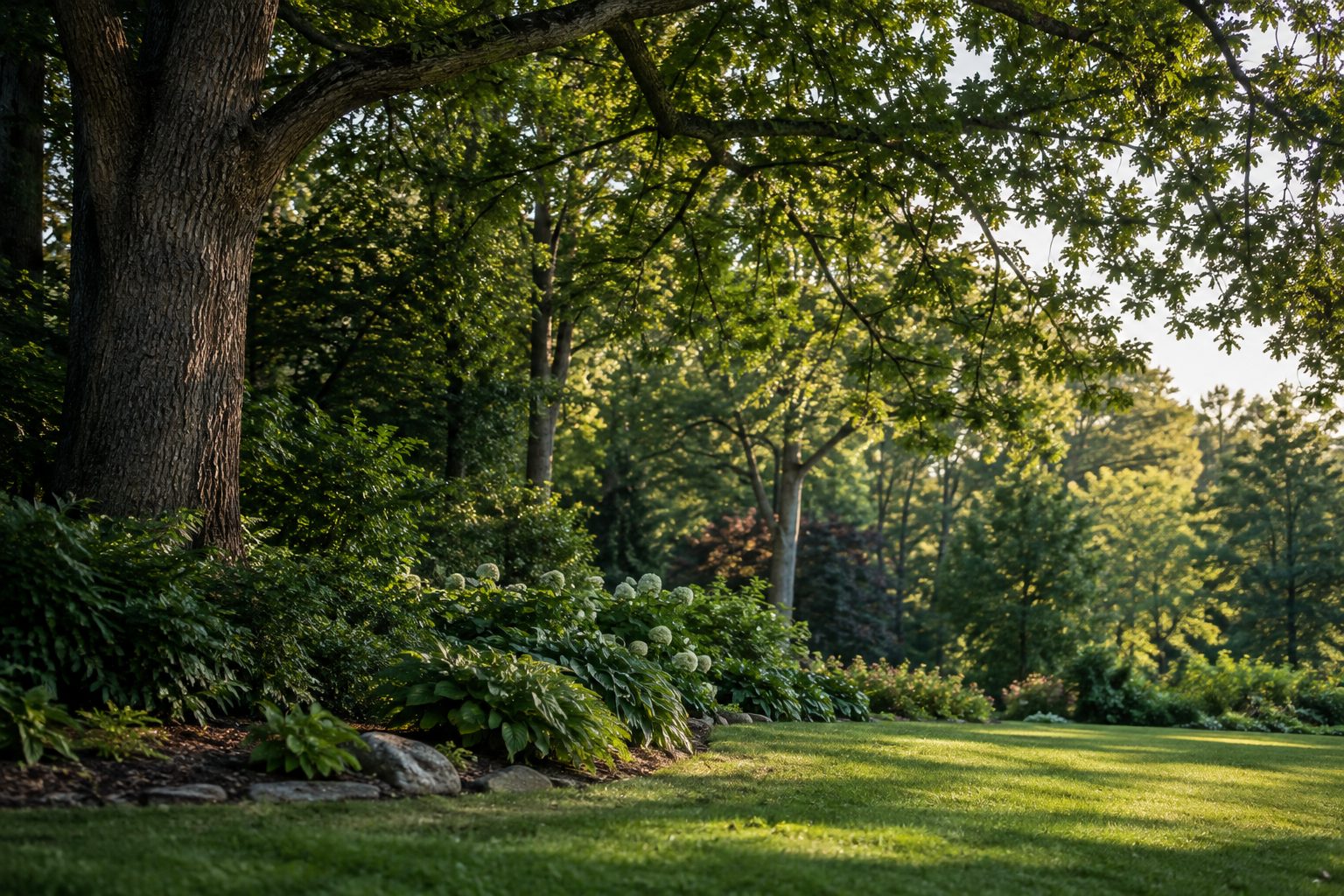 AI-generated editorial woodland scene illustrating the service areas guide; not a company job photograph