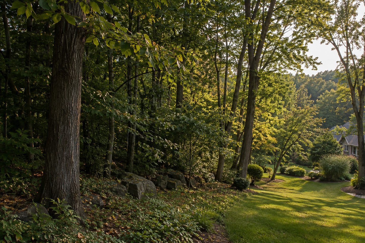 AI-generated editorial woodland scene illustrating the tree services guide; not a company job photograph